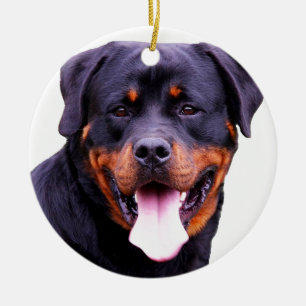 Ornamento De Cerâmica rottweiler