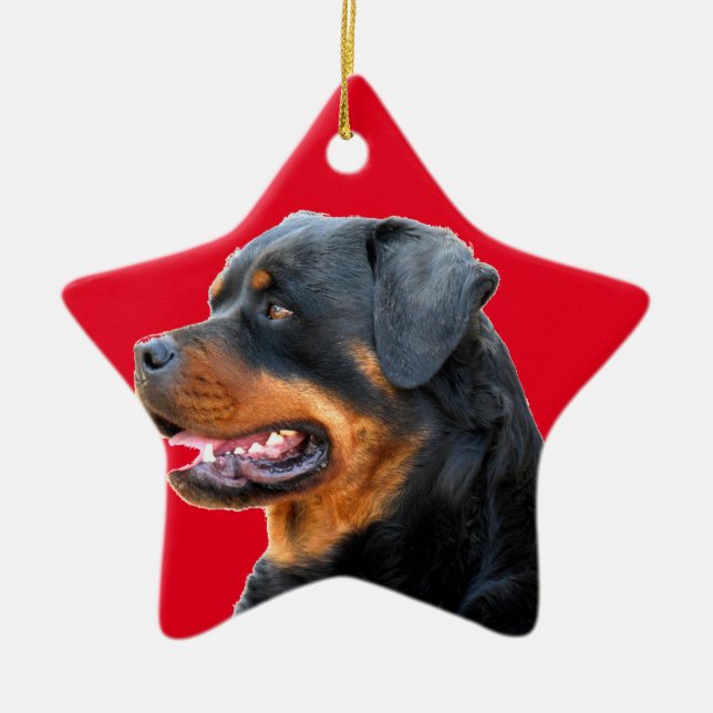 Ornamento De Cerâmica Rottweiler (Frente)