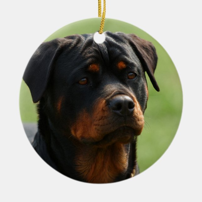 Ornamento De Cerâmica Rottweiler (Frente)