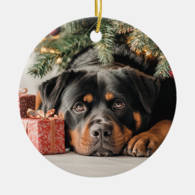 Ornamento De Cerâmica Rottweiler Natal (Frente)