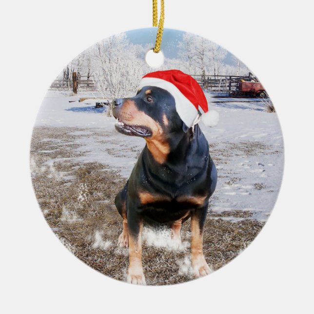 Ornamento De Cerâmica Rottweiler Neve Feriado de Natal (Frente)