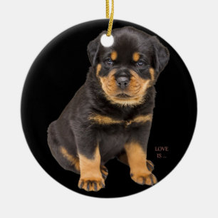 Ornamento De Cerâmica Rottweiler Rottie Mãe Pai Cão Tee Adoro Pet Pupp