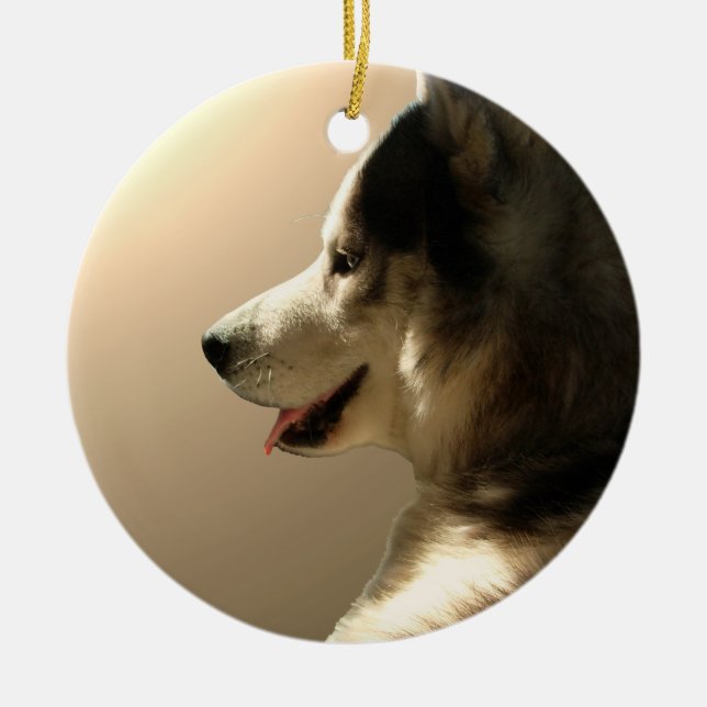 Ornamento De Cerâmica Rouco Malamute Keepsaokit Dons (Frente)