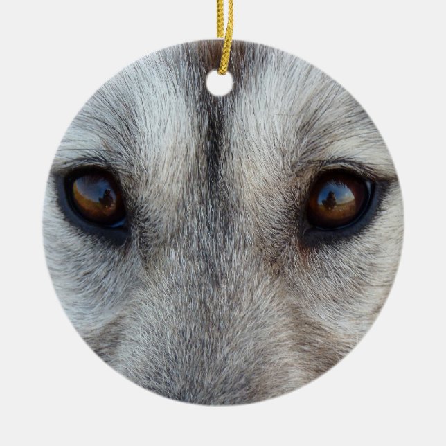 Ornamento De Cerâmica Rouco Ornament Wolf Pup Keepsasakydog Gifes (Frente)