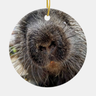 Ornamento De Cerâmica Rox 2016