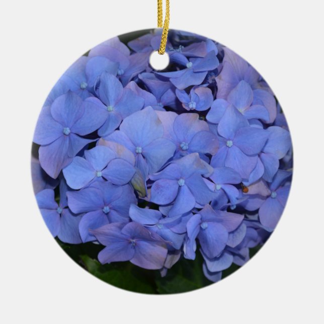 Ornamento De Cerâmica Roxo Roxo Hidrangea macrofilla (Frente)