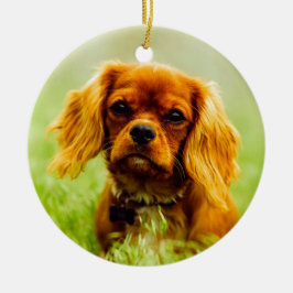 Ornamento De Cerâmica Ruby Cavalier King Charles Spaniel Dog