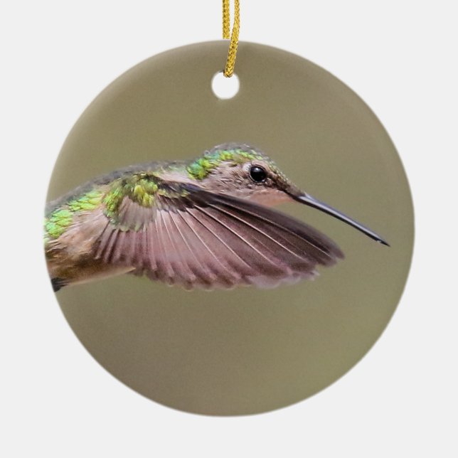 Ornamento De Cerâmica Ruby Red Throat Hummingbird (Frente)