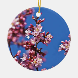 Ornamento De Cerâmica Sakura Flores de Cerejeira Tocando o Azul