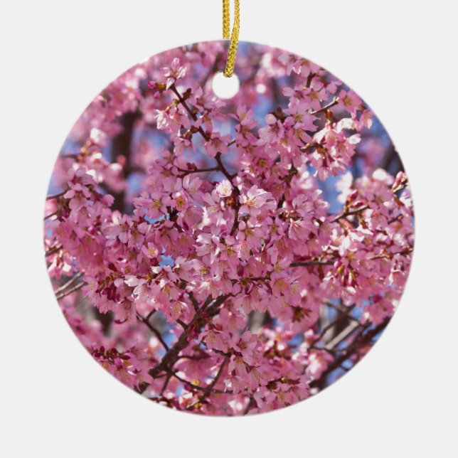 Ornamento De Cerâmica Sakura Pink Chersom Sky (Frente)