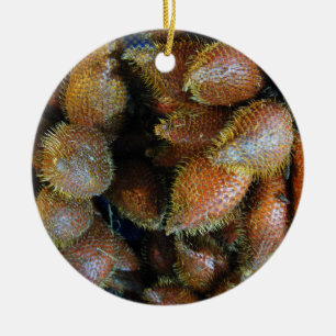 Ornamento De Cerâmica Salak [Fruta Cobra]