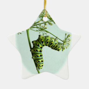 Ornamento De Cerâmica Salsa de comida da lagarta