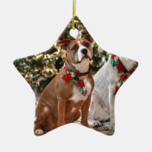 Ornamento De Cerâmica Salvamento bonito Pitbull do Natal e cão de