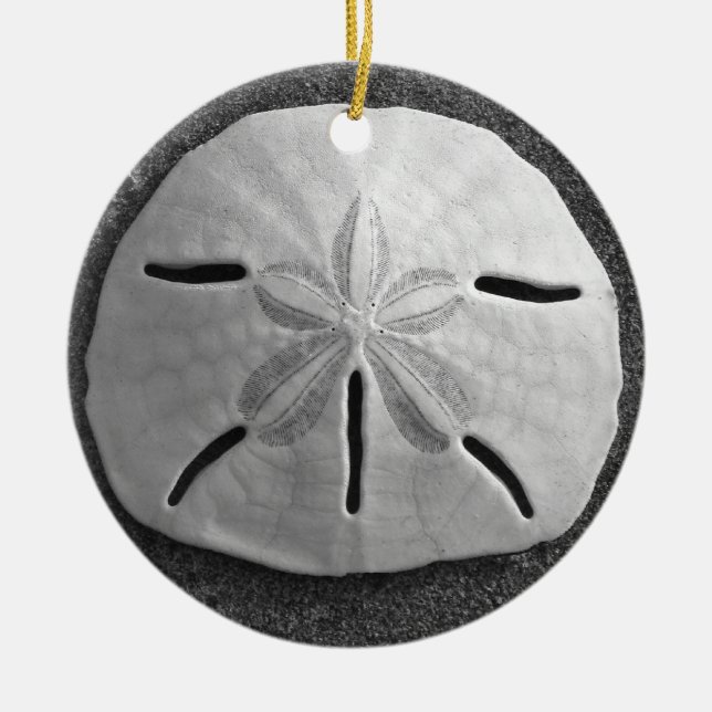 Ornamento De Cerâmica Sand Dollar Seashell Beach Ornament Pental (Frente)