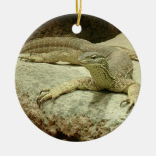 Ornamento De Cerâmica Sand Goanna