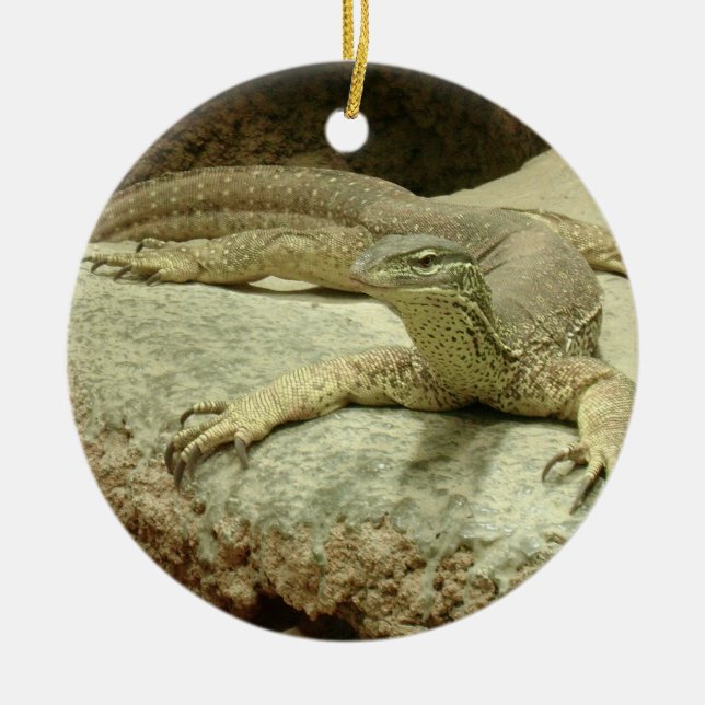 Ornamento De Cerâmica Sand Goanna (Frente)