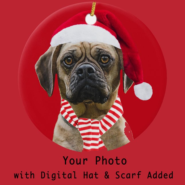 Ornamento De Cerâmica Santa Hat e Scarf com Photo Christmas Dog (Criador carregado)
