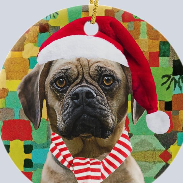 Ornamento De Cerâmica Santa Hat e Scarf com Photo Christmas Dog (Criador carregado)