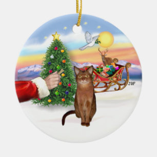 Ornamento De Cerâmica Santas Treat - Ruddy Gato abissino