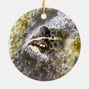 Ornamento De Cerâmica Sapo imerso em bolhas de água e espuma de rã