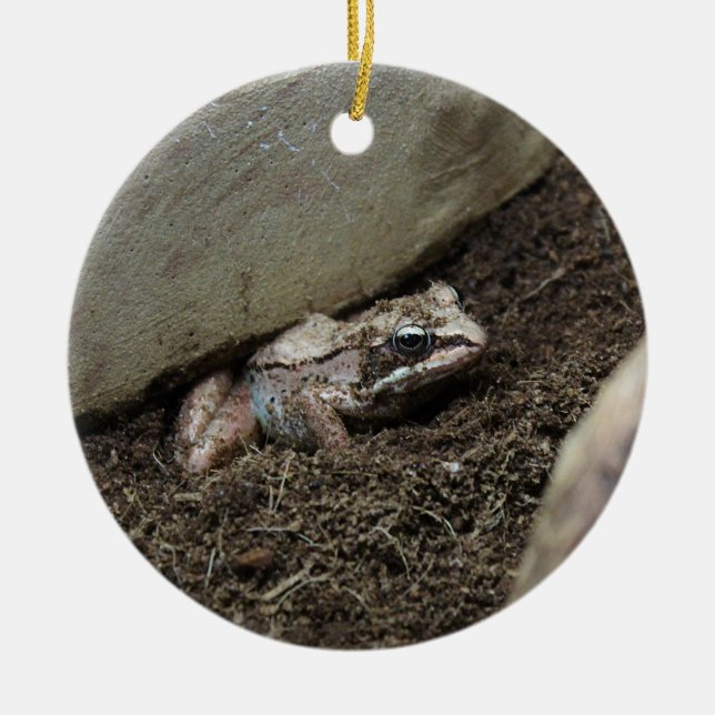 Ornamento De Cerâmica Sapo sujo (Frente)