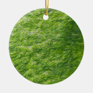 Ornamento De Cerâmica Sea Moss Green Nature Grass Beach NIMO