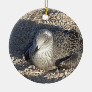 Ornamento De Cerâmica Seagull Aproveitando A Fotografia Do Verão Do Sol