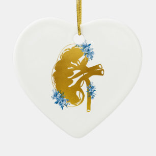 Ornamento De Cerâmica Seção dos rins