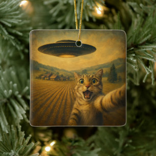 Ornamento De Cerâmica Selfie De Gato Com Presentes De Gato Engraçado De