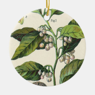 Ornamento De Cerâmica Sementes de Fruta de Planta de Noz-moscada Vintage