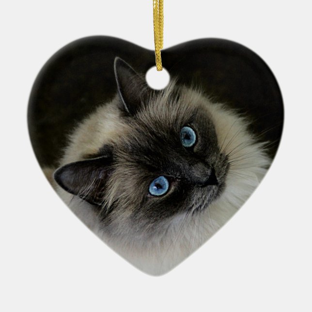 Ornamento De Cerâmica Senhora do ` de M (Frente)