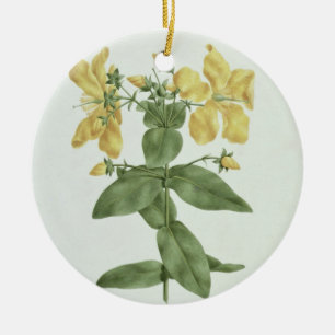 Ornamento De Cerâmica Sensação-Esforço (quartinianum do Hypericum) (w