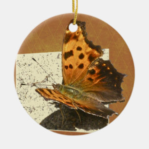 Ornamento De Cerâmica Série Angle Wing Comma Butterfly