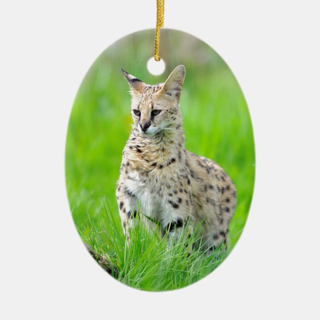 Ornamento De Cerâmica Serval na grama (Frente)