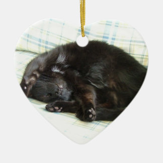 Ornamento De Cerâmica sesta do gato