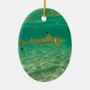 Ornamento De Cerâmica Shark in bora bora