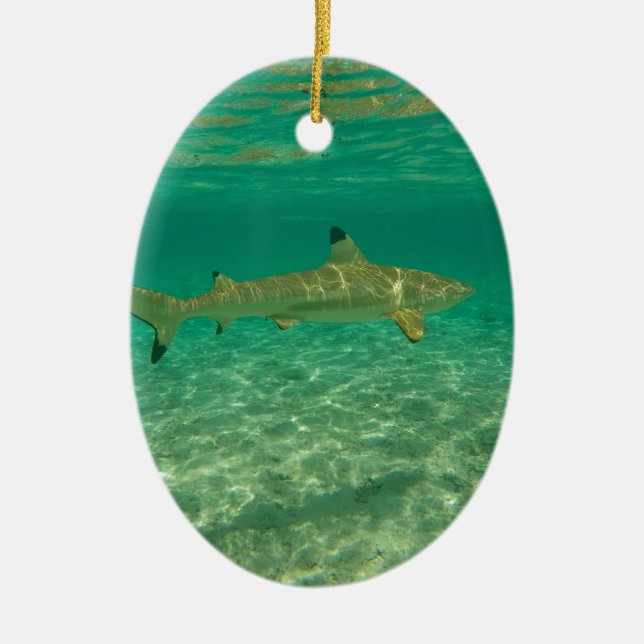 Ornamento De Cerâmica Shark in bora bora (Frente)