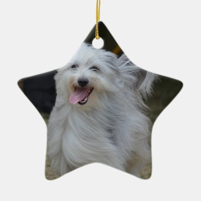 Ornamento De Cerâmica Sheepdog doce (Frente)