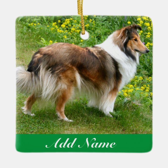 Ornamento De Cerâmica Sheepdog Personalizado - Sheltie Dog (Frente)