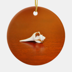 Ornamento De Cerâmica Shell minúsculo