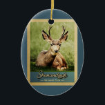 Ornamento De Cerâmica Shenandoah National Park Deer Vintage<br><div class="desc">Estilo de viagens vintage Shenandoah National Park imagem com um belo veado de estábulo com galhos de cheio sentados na grama verde.</div>
