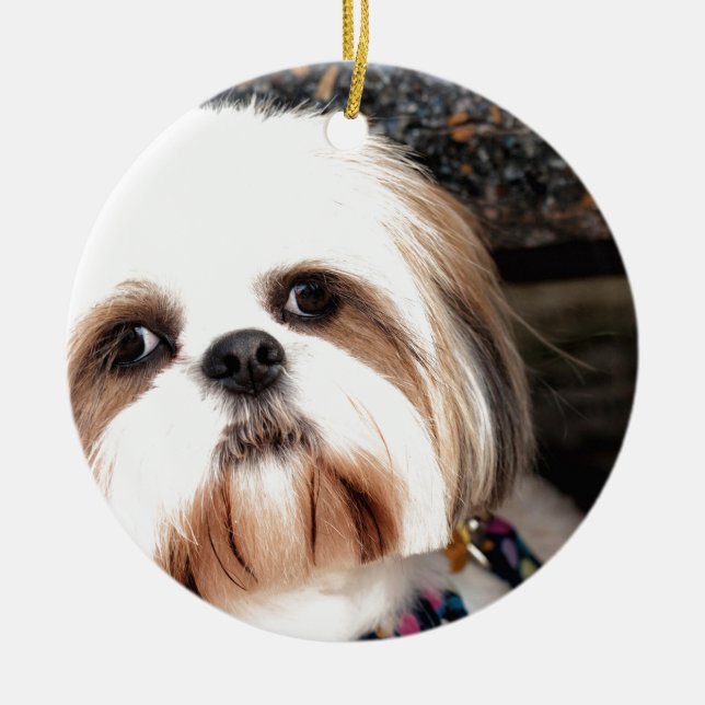 Ornamento De Cerâmica Shih Tzu (Frente)