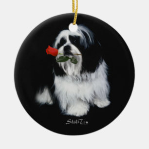 Ornamento De Cerâmica Shih Tzu com aumentou