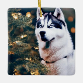 Ornamento De Cerâmica Siberian Husky sob árvore de Natal