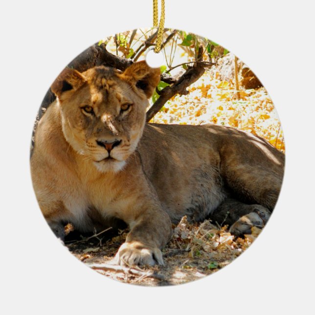 Ornamento De Cerâmica Siesta Time (Frente)