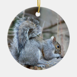 Ornamento De Cerâmica Silver Squirrel Ornament
