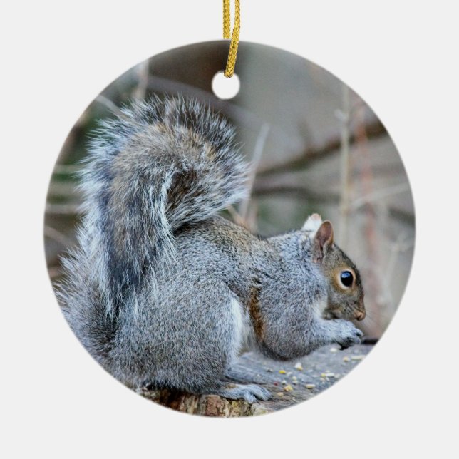 Ornamento De Cerâmica Silver Squirrel Ornament (Frente)
