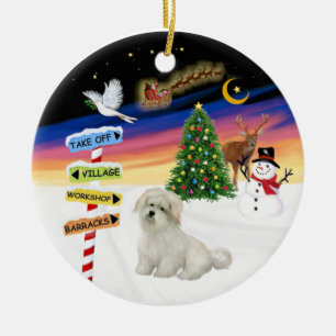 Ornamento De Cerâmica Sinais X Mas - Algodão de Tulear