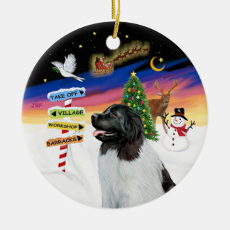 Ornamento De Cerâmica Sinais Xmas - Newfie Landseer