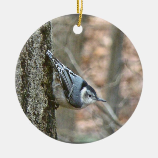 Ornamento De Cerâmica Slate Cinza Nuthatch Christmas Songbird Ornament (Frente)